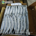 Frozen Pacific Saury  High Quality from China